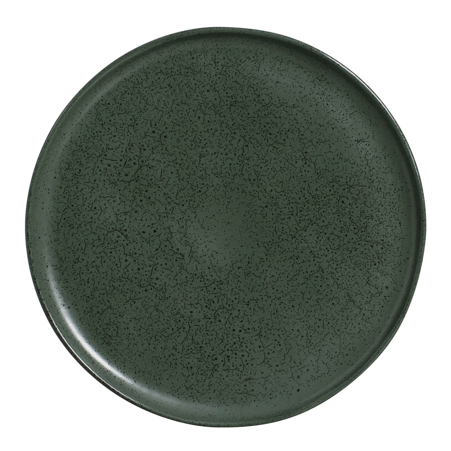 Buffet Dinner Plate Set of 4