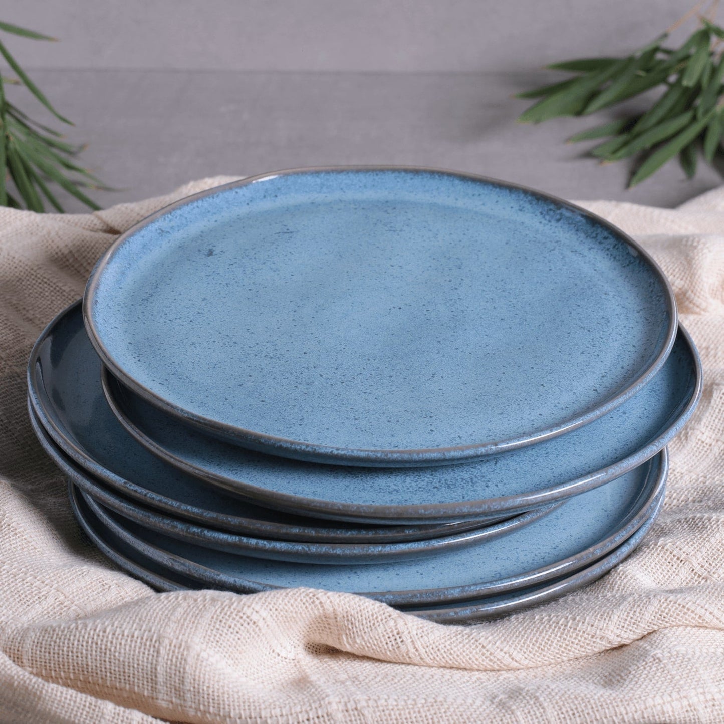 Buffet Dinner Plate Set of 4