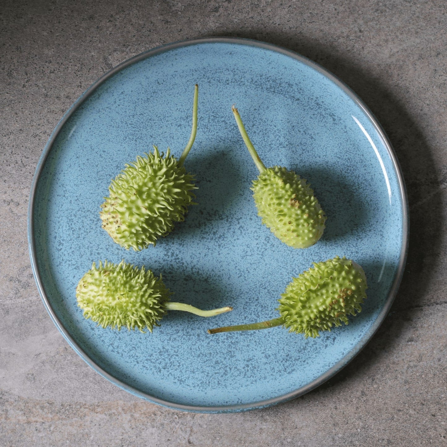 Buffet Dinner Plate Set of 4