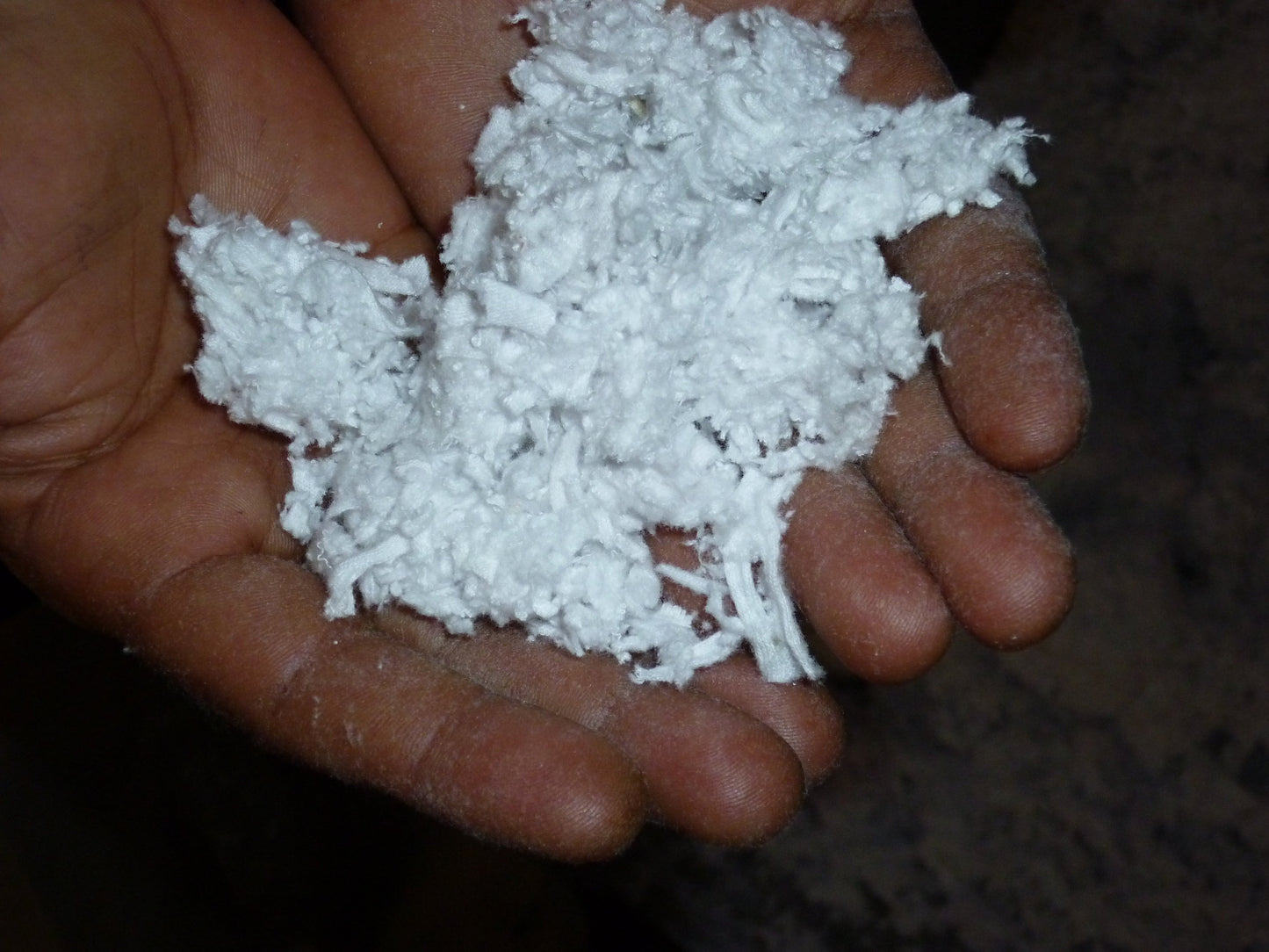 DOWN TO EARTH Boxed Notecards with Envelopes (Set of 8) Tree-Free Paper – Fair Trade – Artisan Made