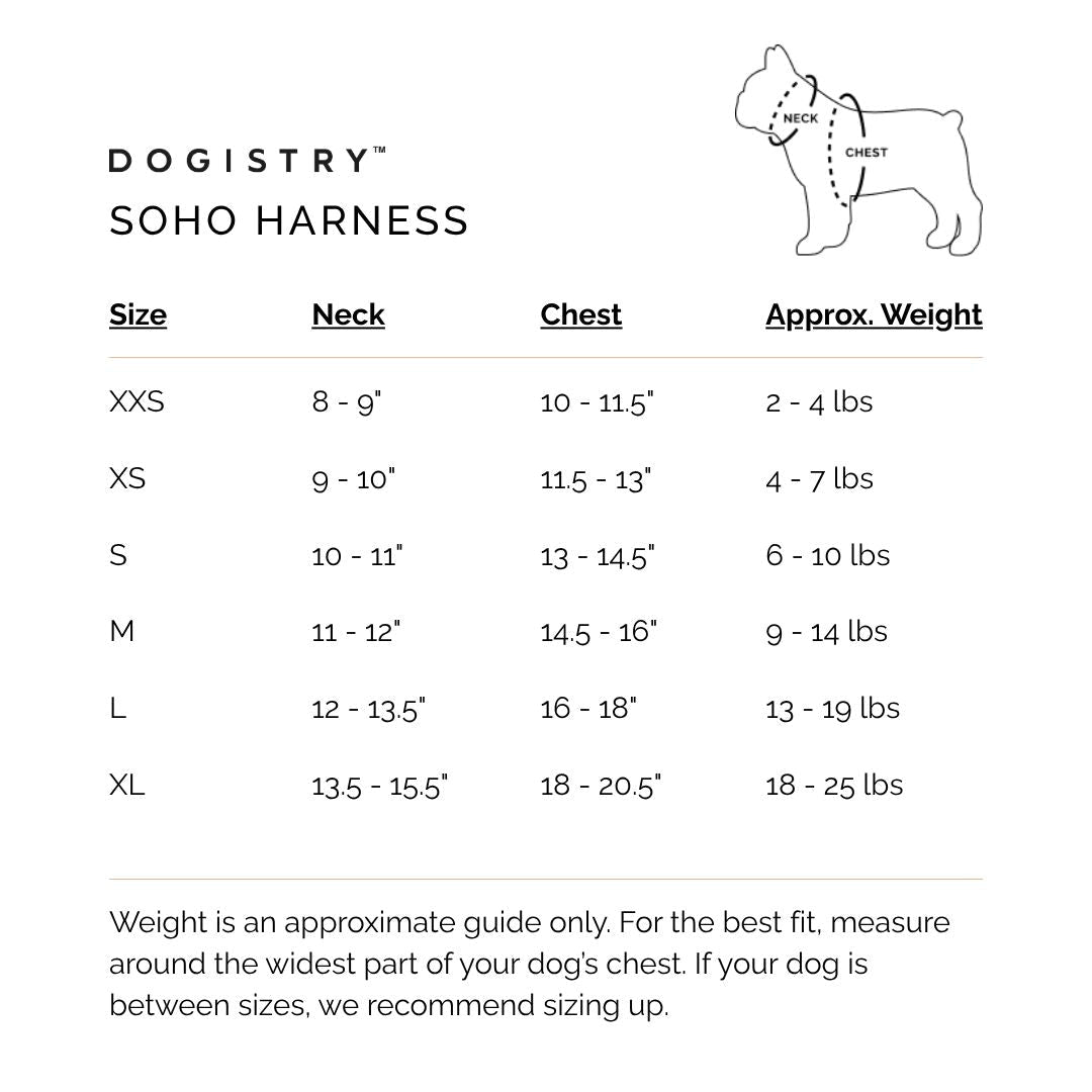 SoHo Dog Walking Set - Hamptons