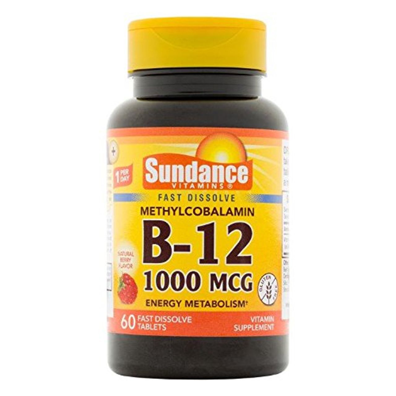 Sundance B-12 1000 Mcg Fast Dissolve Tablets