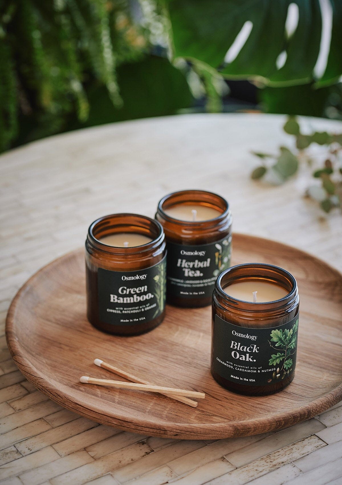 Green Bamboo Scented Jar Candle - Cypress Patchouli and Orange