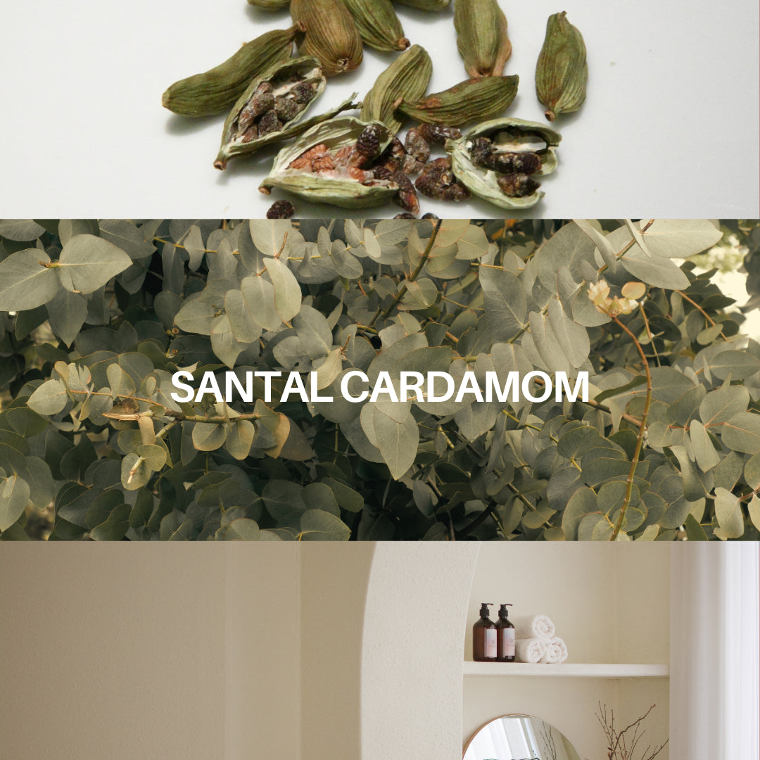 Santal Cardamom Candle & Playlist