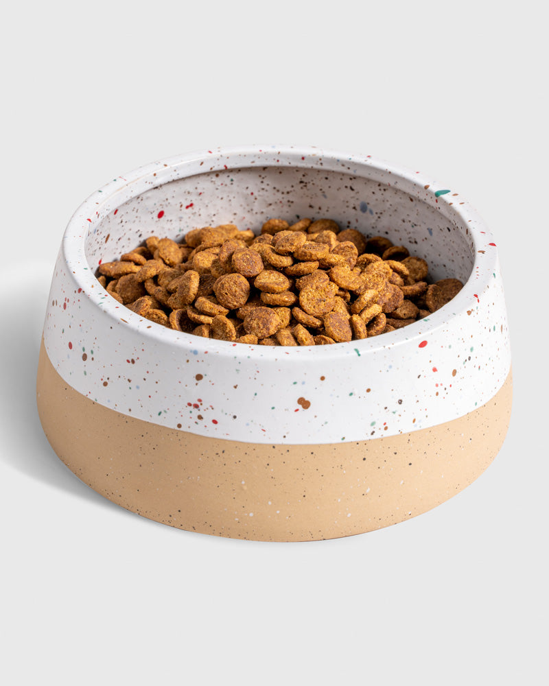 Stoneware Dog Bowl