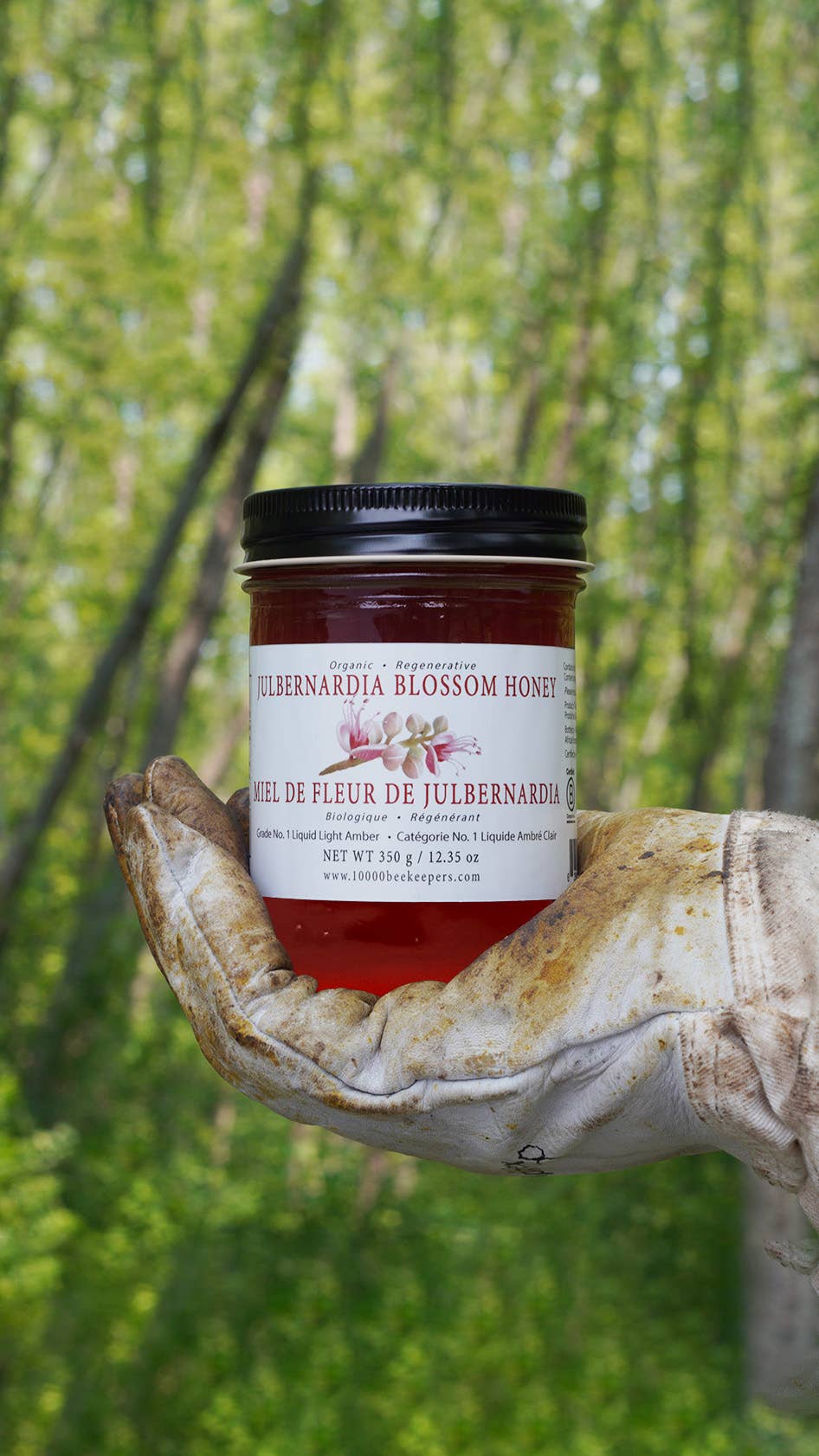 Organic Julbernardia Blossom Honey