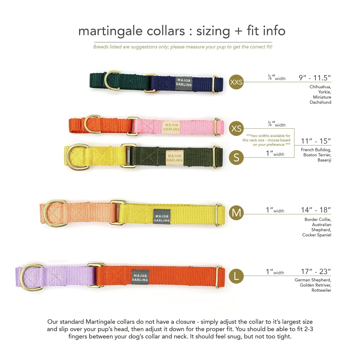 Martingale Collar and Leash Set
