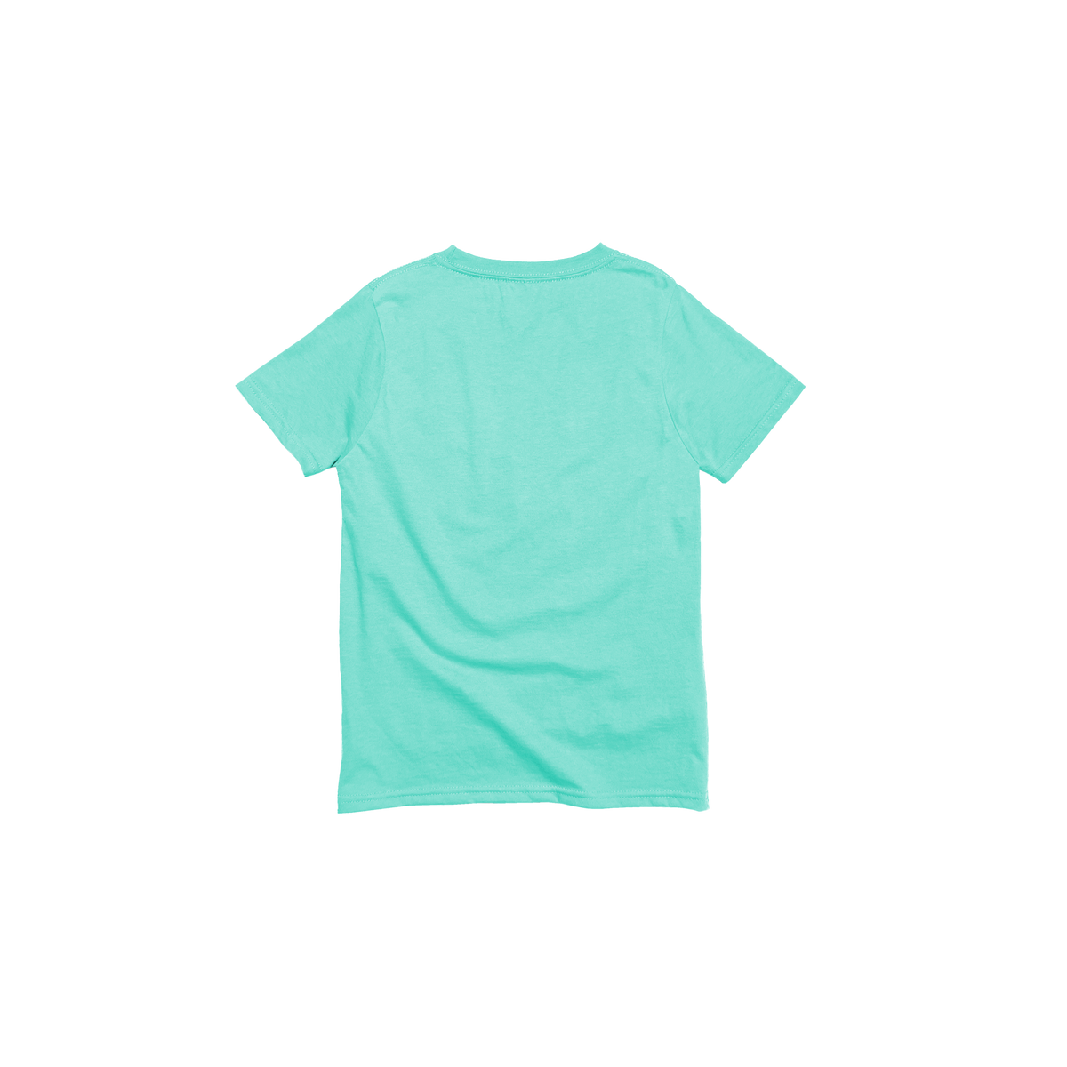 Youth Premium Cotton Short Sleeve Tee (Fashion Colors)