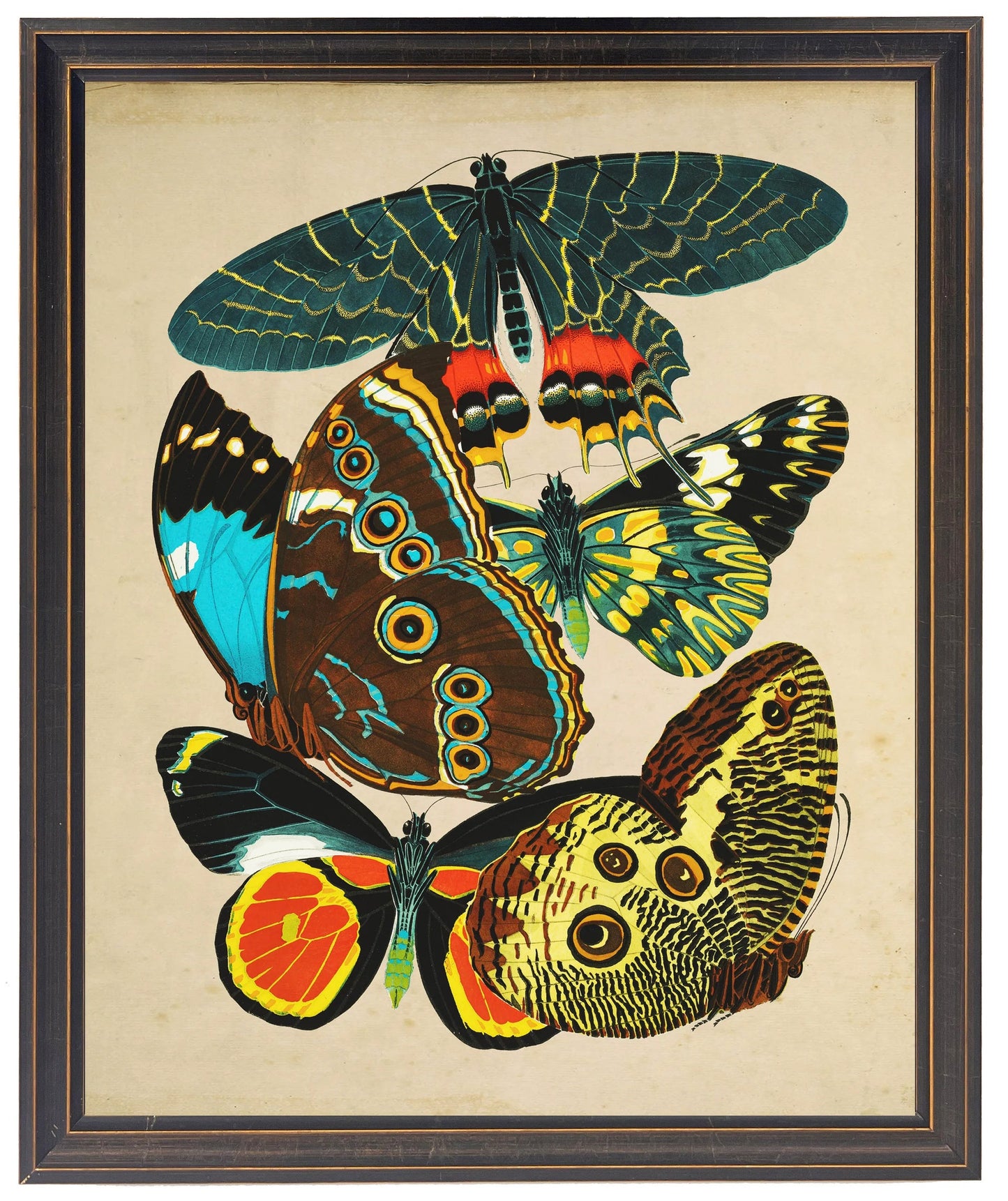 Vintage bright multi butterfly print on a distressed background in a copper and black shaped frame sized 18x24