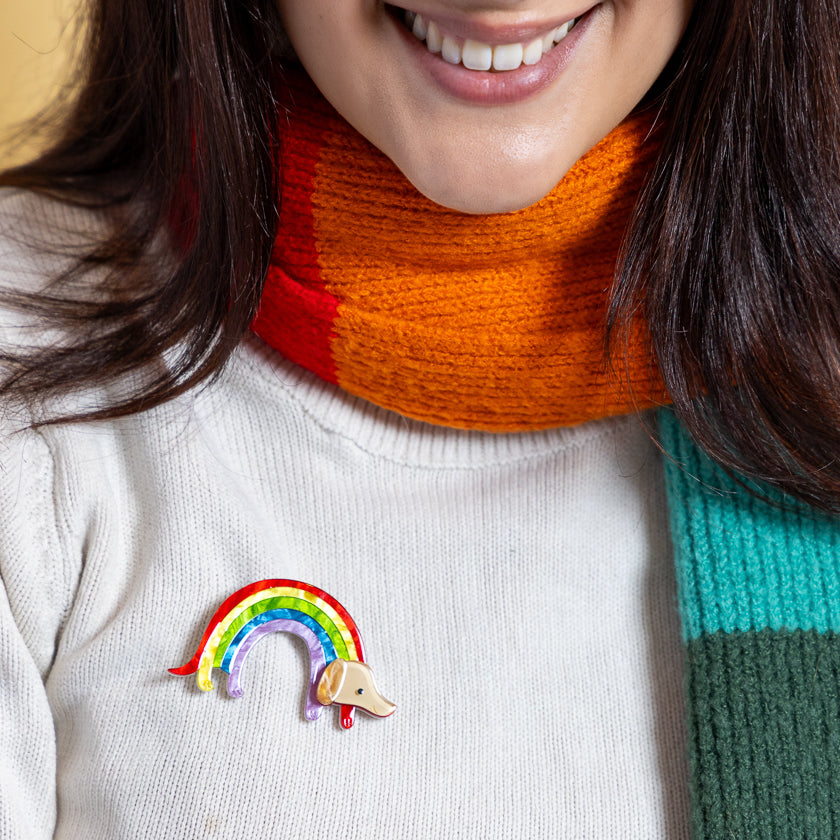 Rainbow Ruff Brooch by Erstwilder