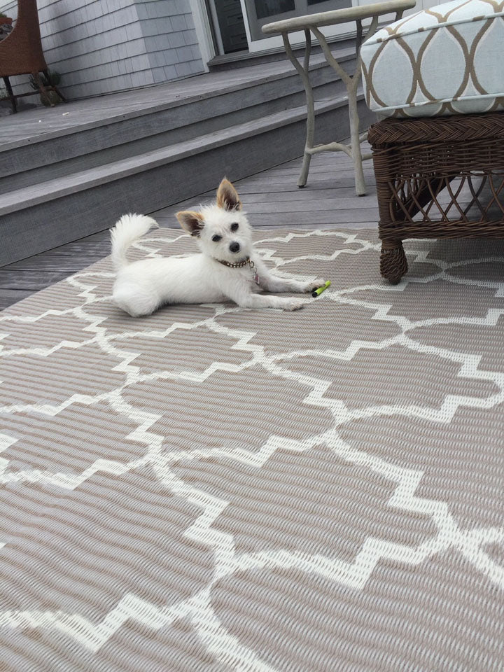 Casa Blanca Sand & White