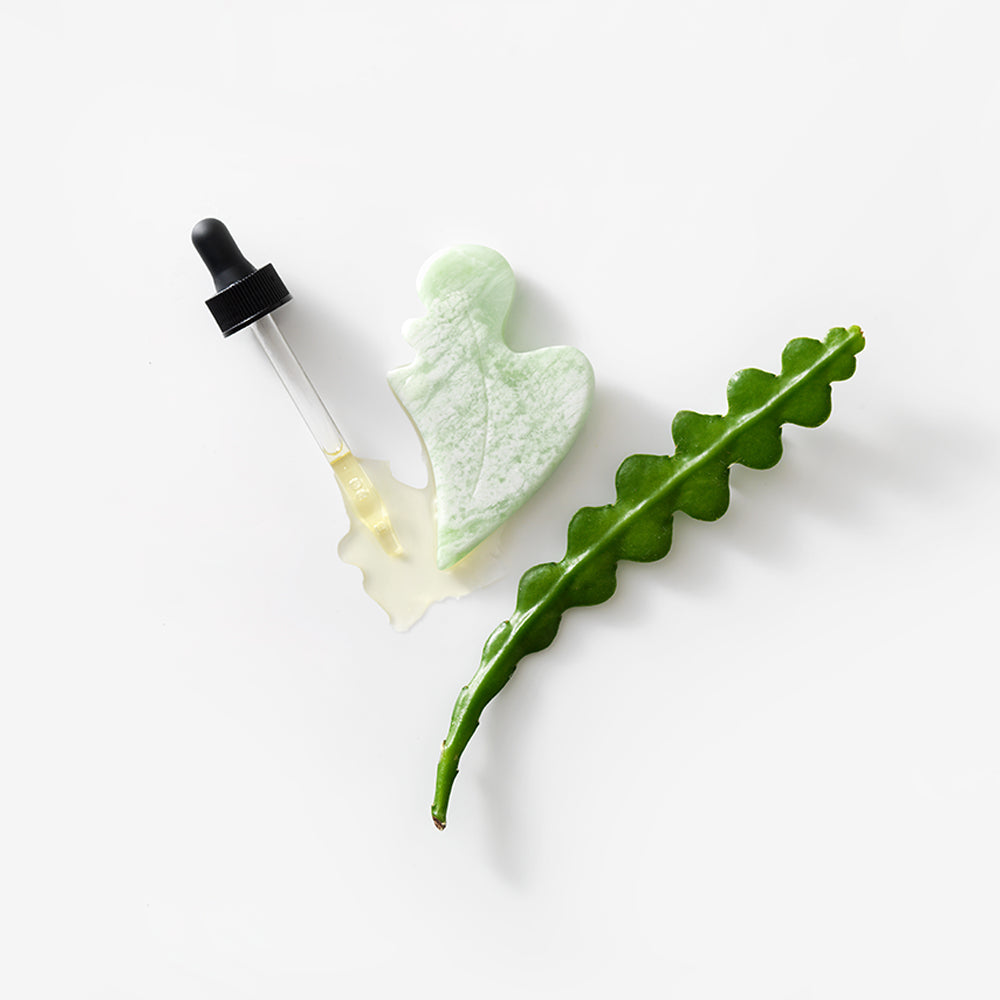 Gua Sha - Osadia Concept Store