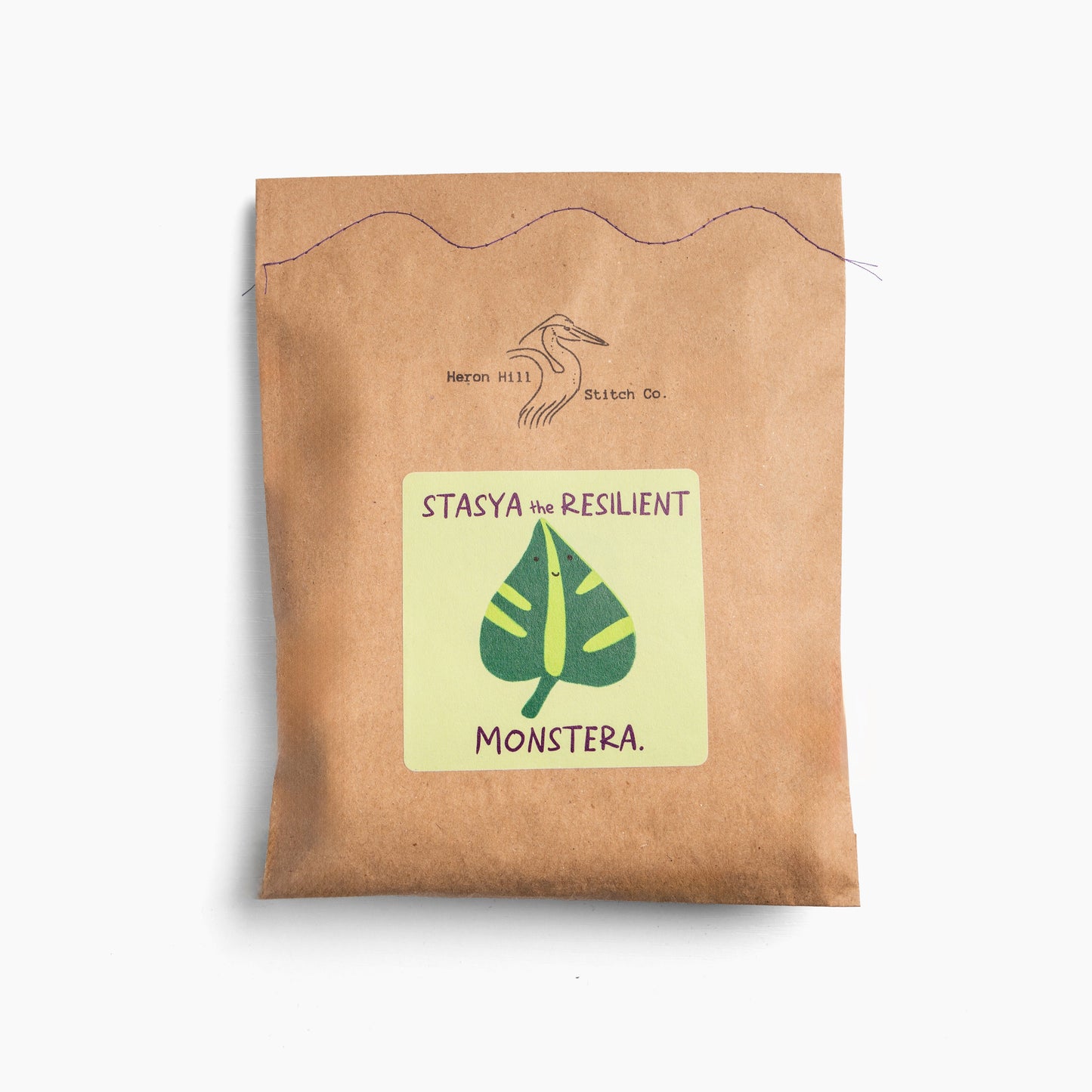 Stasya the Resilient Monstera