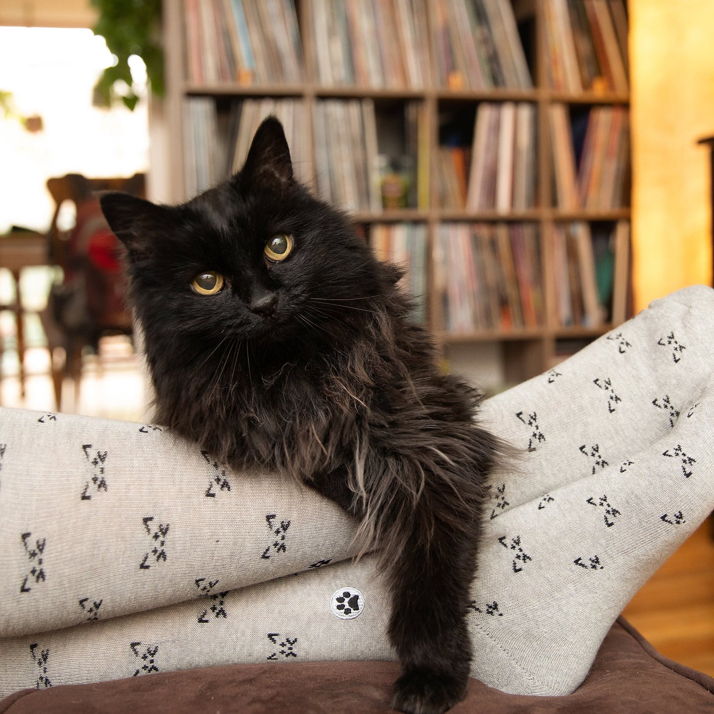 Socks that Save Cats - Osadia Concept Store