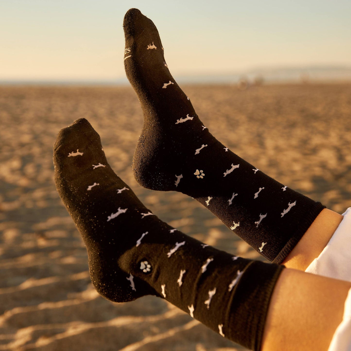 Socks that Save Dogs - Osadia Concept Store