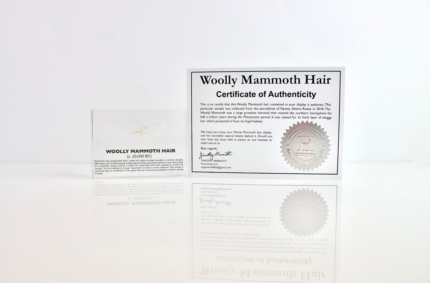 Woolly Mammoth Hair