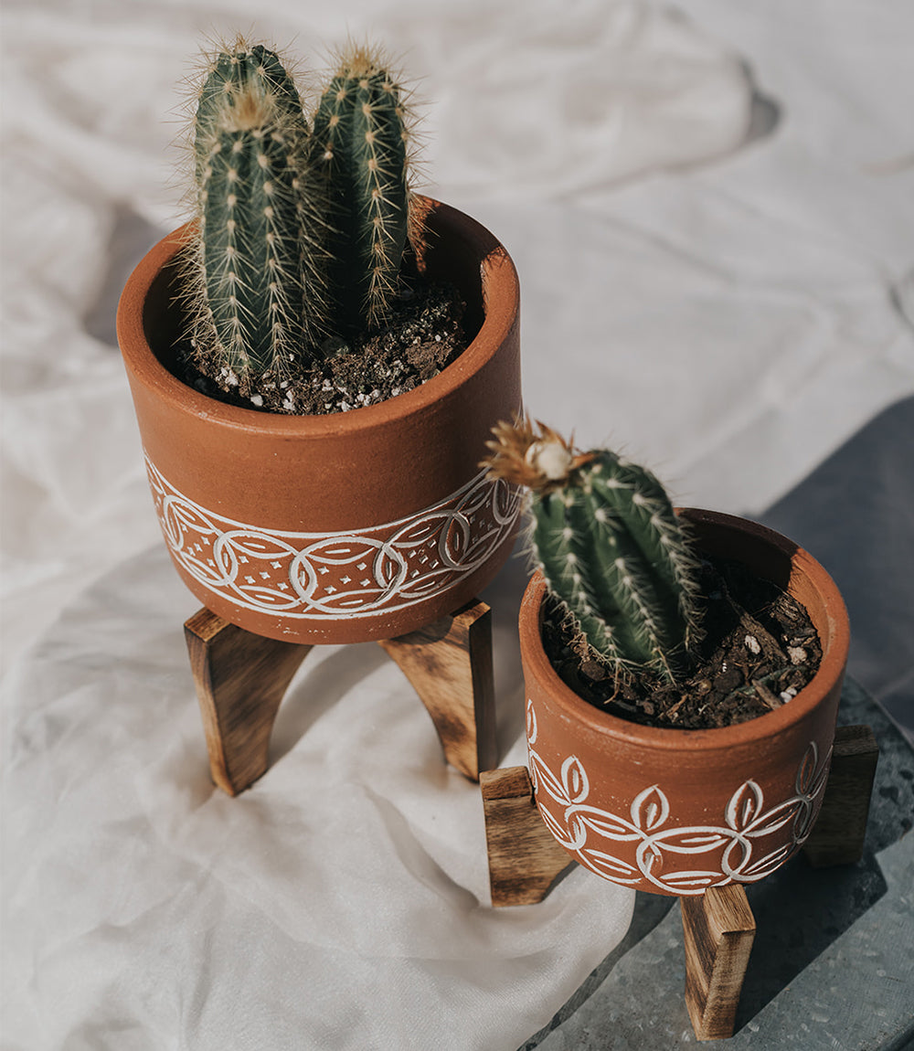 Daksha Terracotta Plant Pot with Wood Stand - large