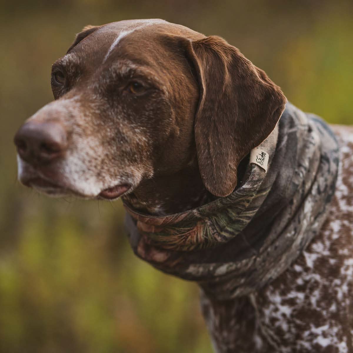 Midweight Wool Neck Gaiter - 100% Merino Wool - Osadia Concept Store