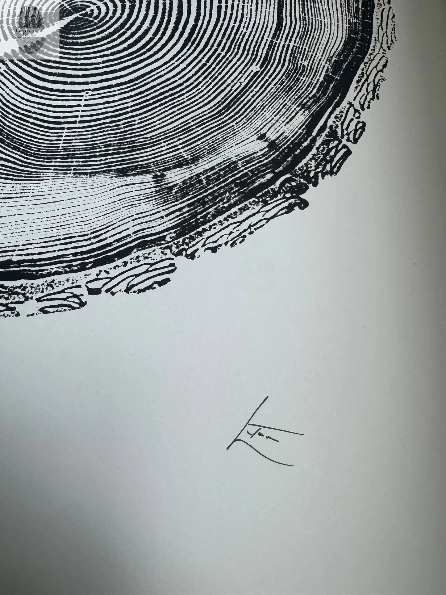 White Pine Tree Ring Impression – Taylor County, WI – 18x24 Signed Artwork