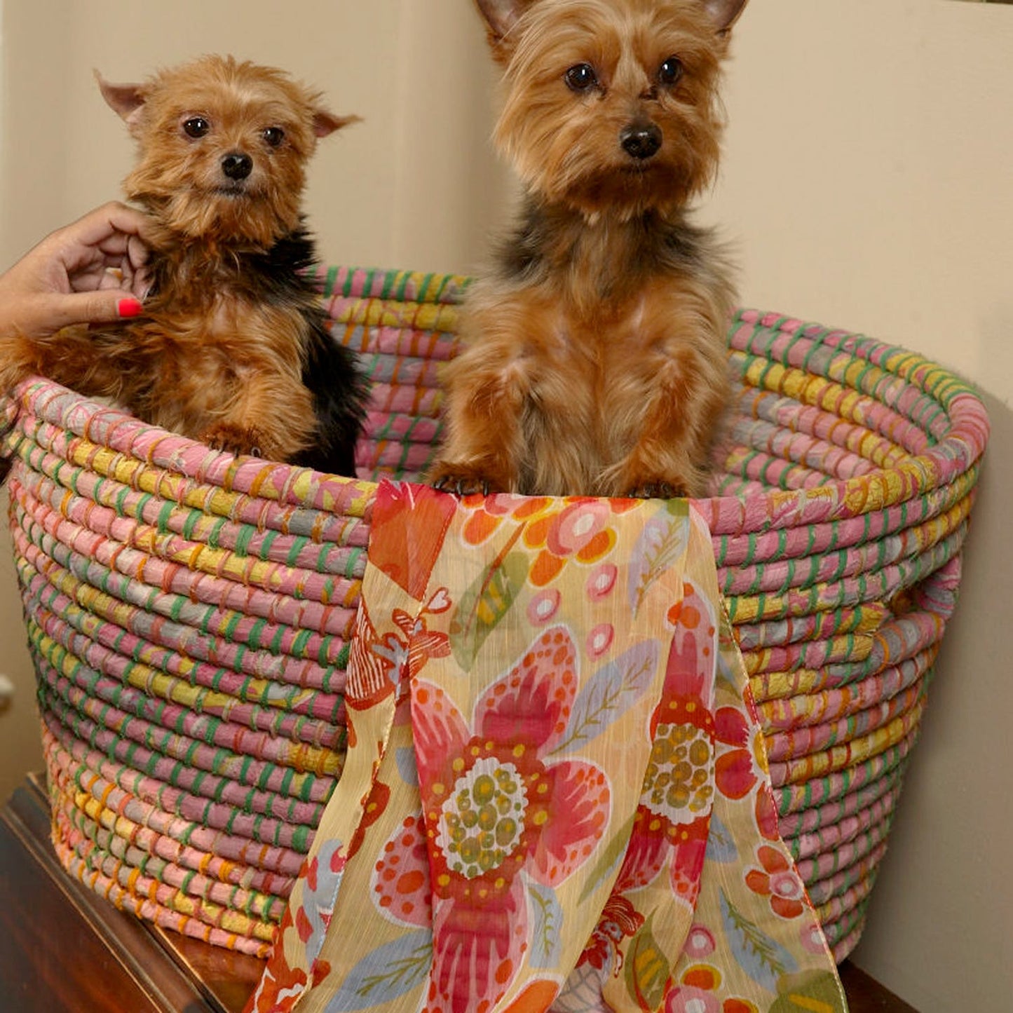 Bright Day Laundry Basket
