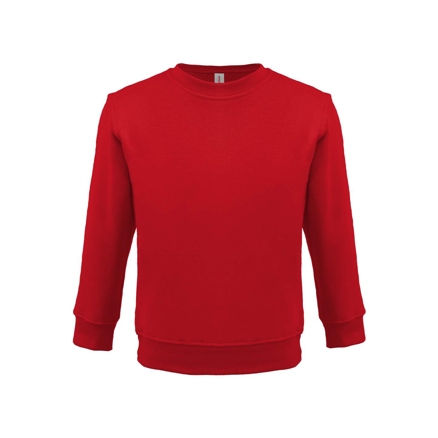 Bonita Cotton Soft Style Youth Size Unisex Sweatshirt