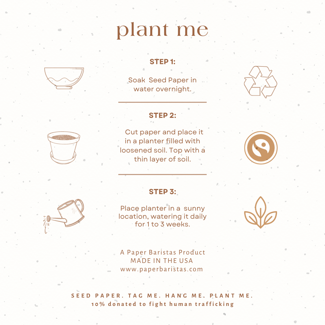 Plantable Seed Gift Tags / Ornaments Set of 3: Pine Cone