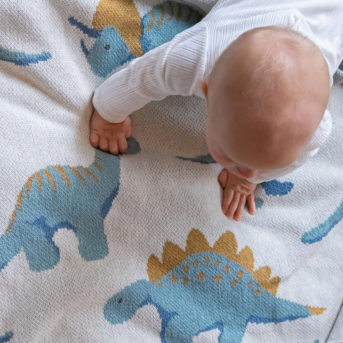 Baby Dinosaur - Cotton Knit Blanket