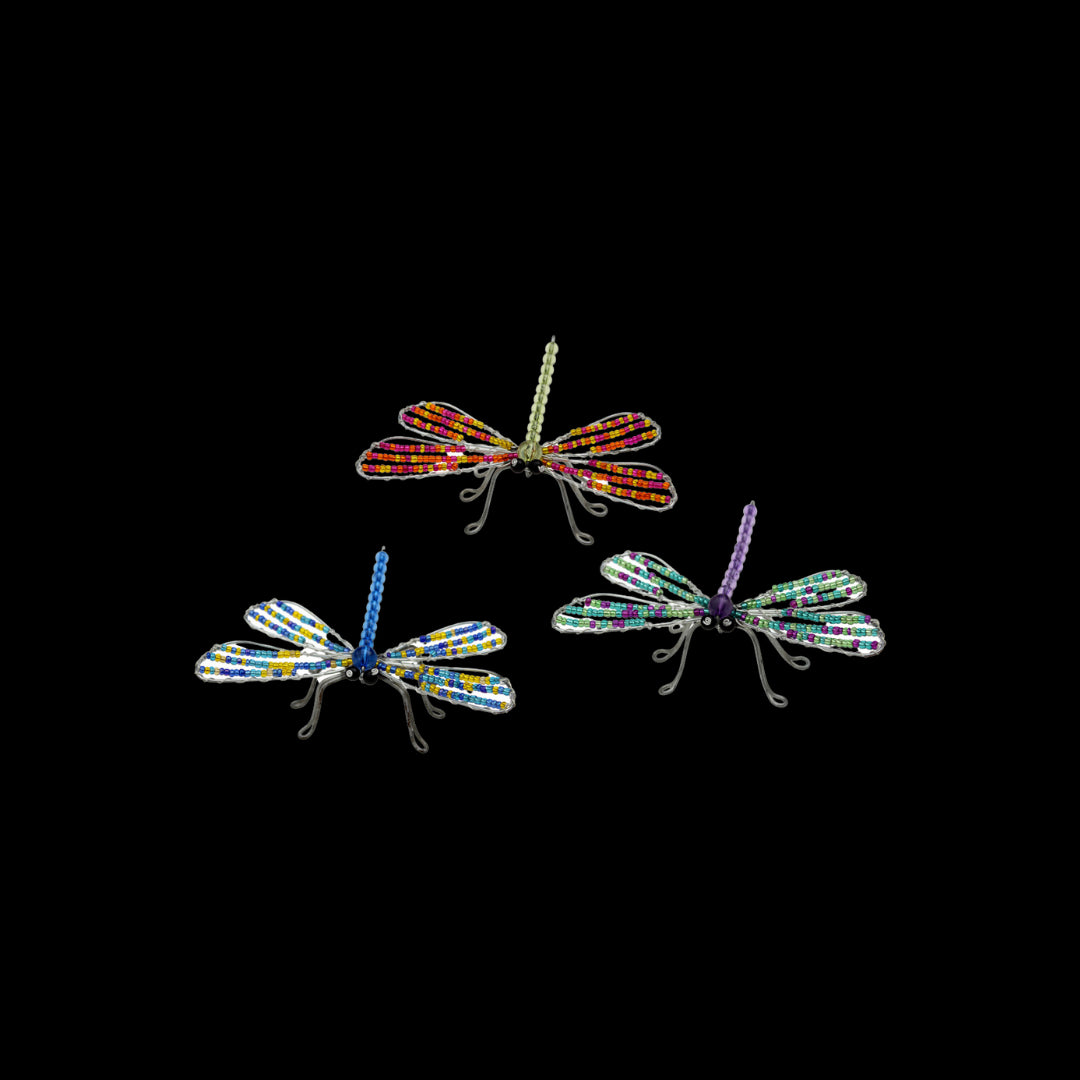 Dragonfly, Sm Asst (Set of 6)