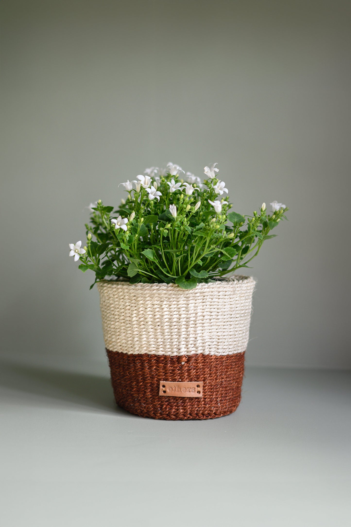 Others Striped Brown Flower Pot