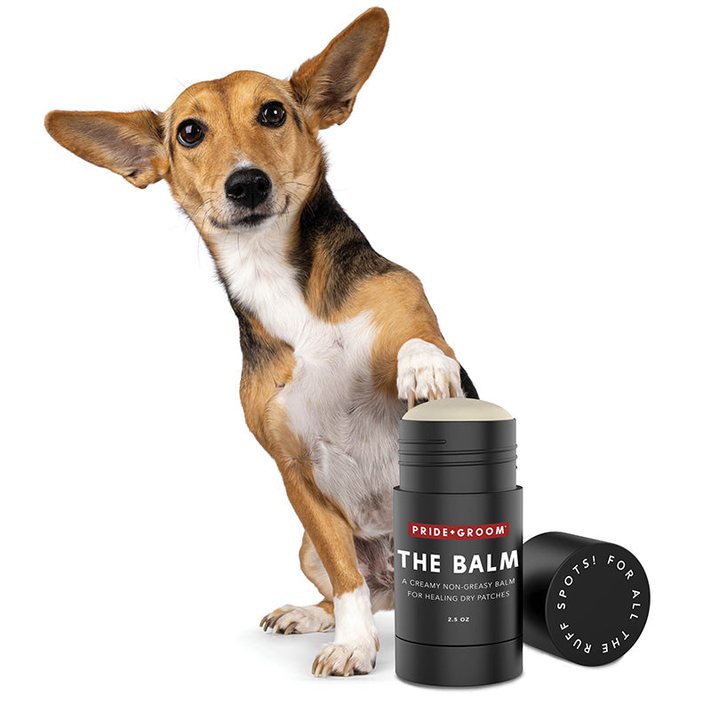 THE TOWEL – Ultra-Absorbent Microfiber Dog Towel with Hand Pockets | Holds 7x Its Weight in Water + THE BALM – All-Natural Dog Paw & Nose Balm to Soothe Dry, Cracked Pads