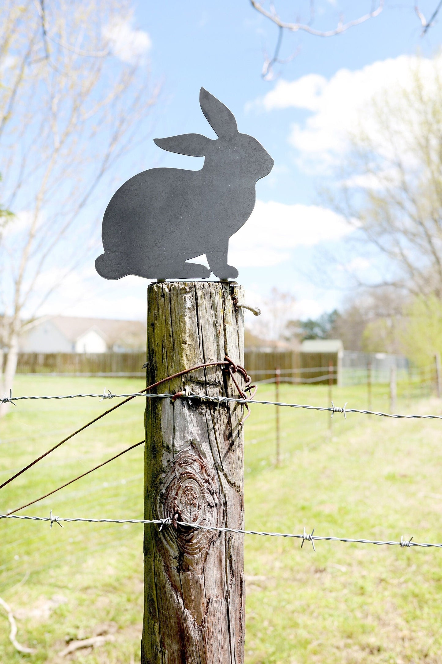 Bunny Statue