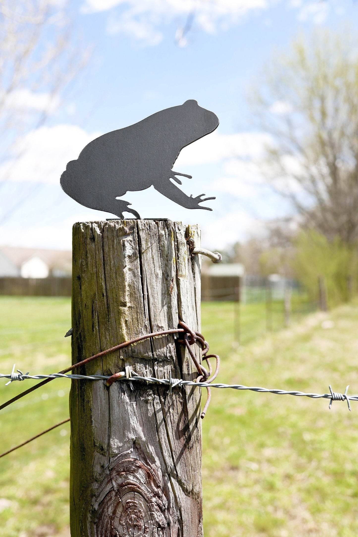 Frog Statue