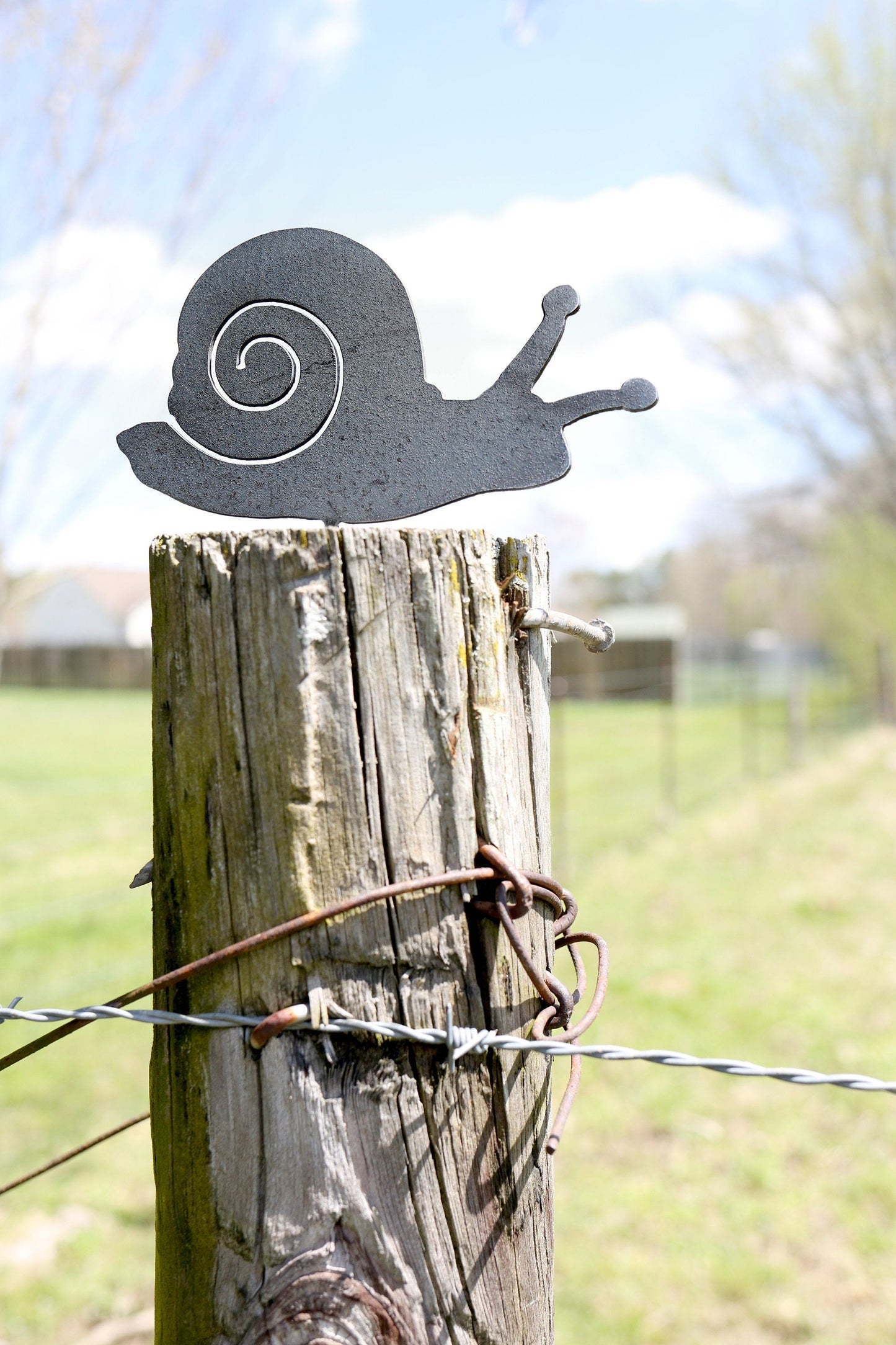 Snail Statue