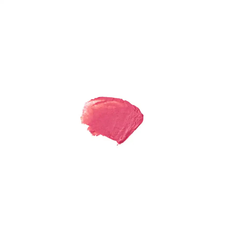 Le Lip Tint Bien Fait