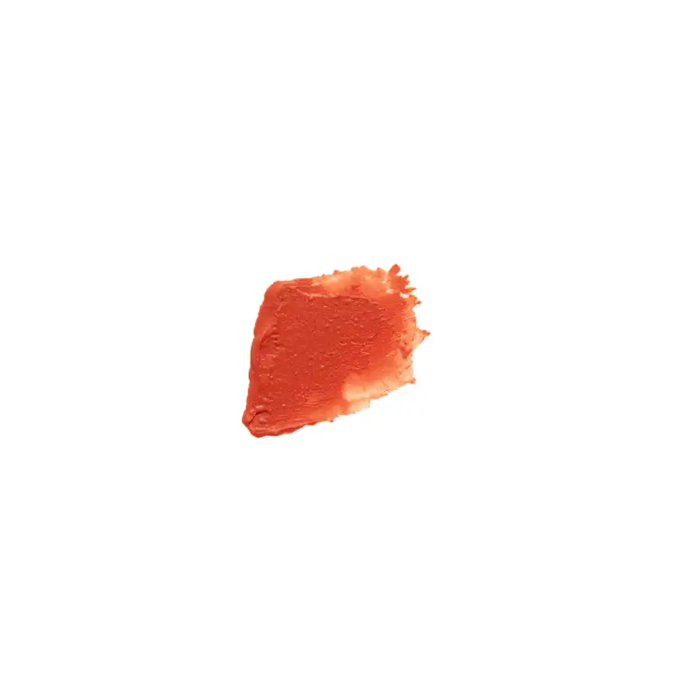 Le Lip Tint Terre Rouge