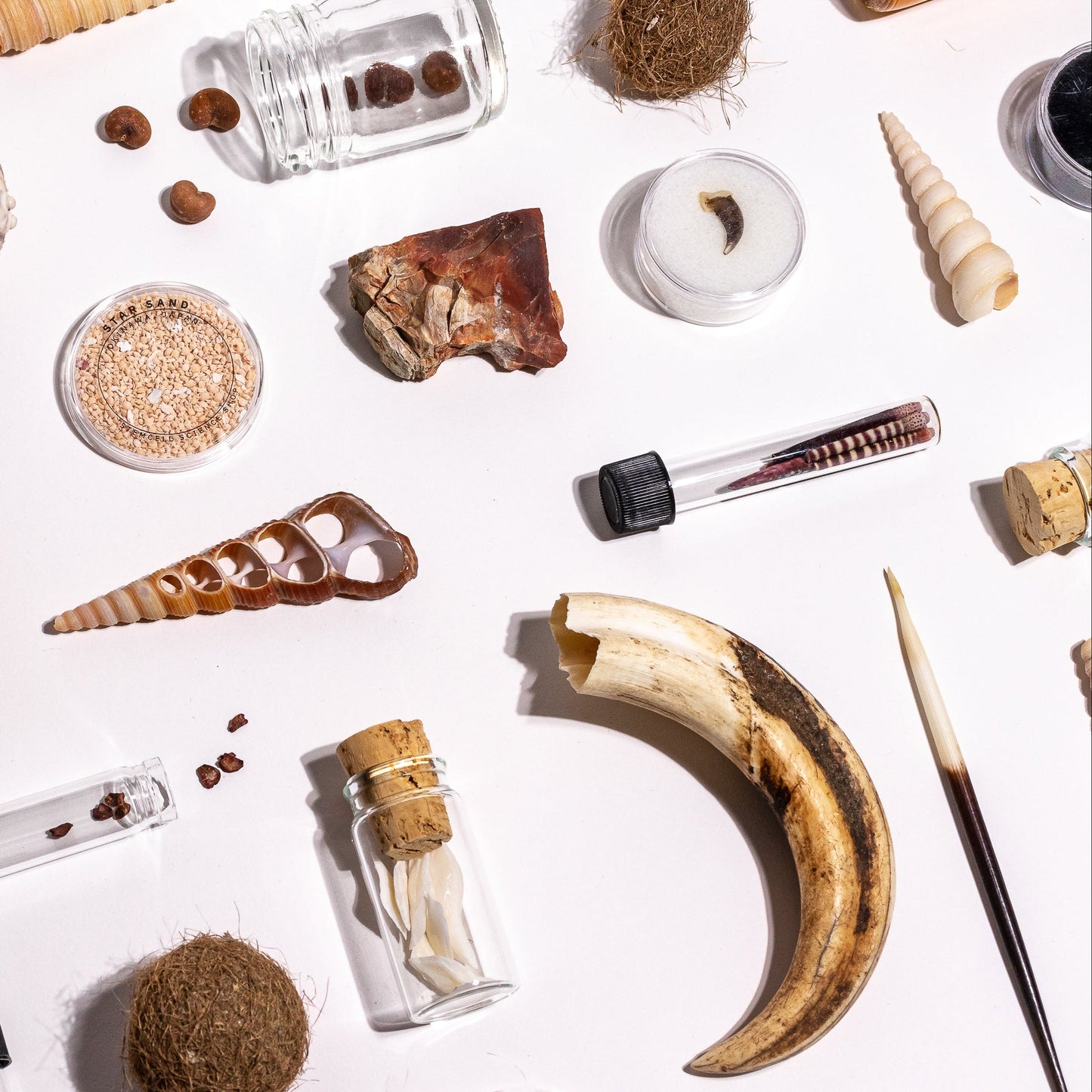 Wildlife Science Collection
