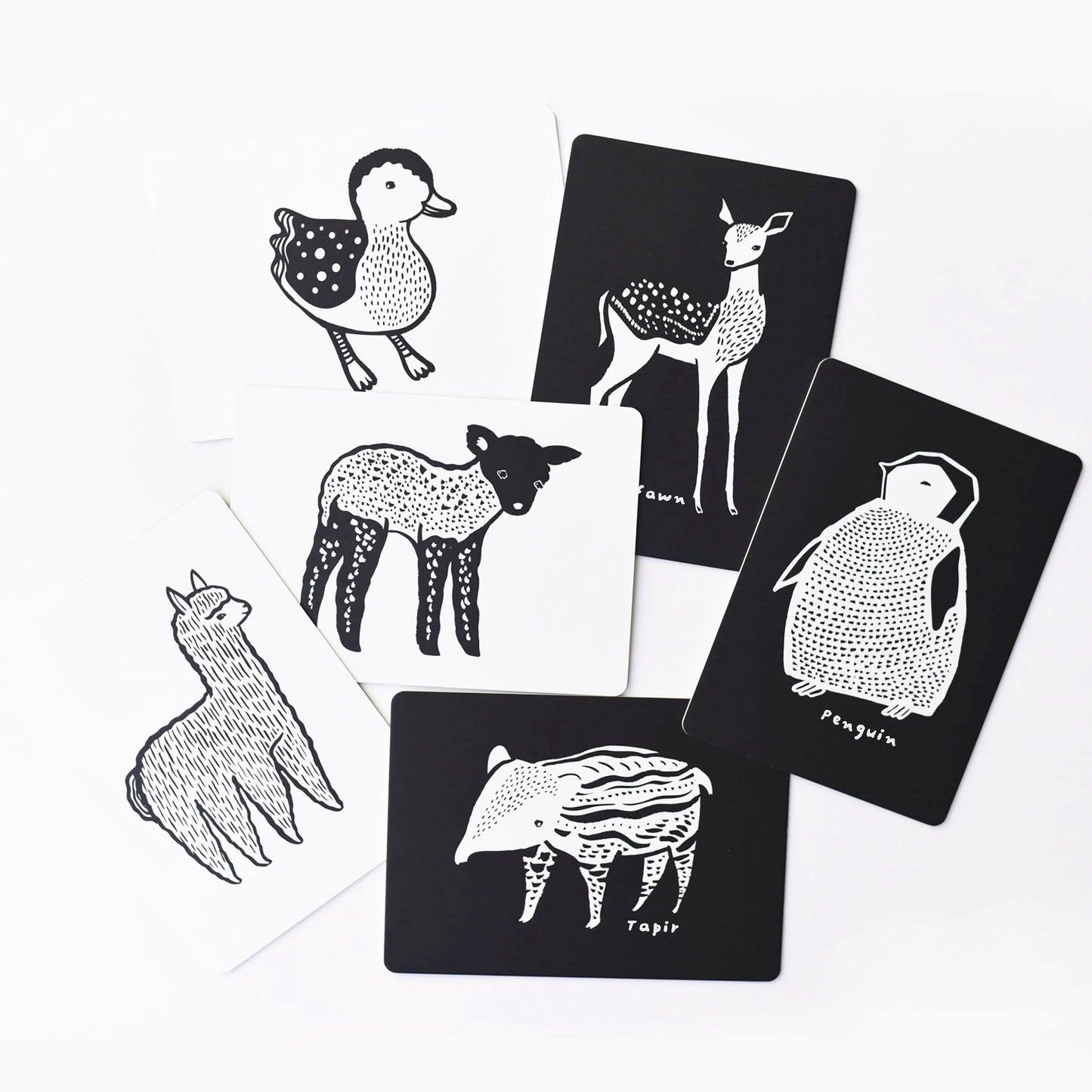 Art Cards for Baby - Baby Animals Collection - Osadia Concept Store