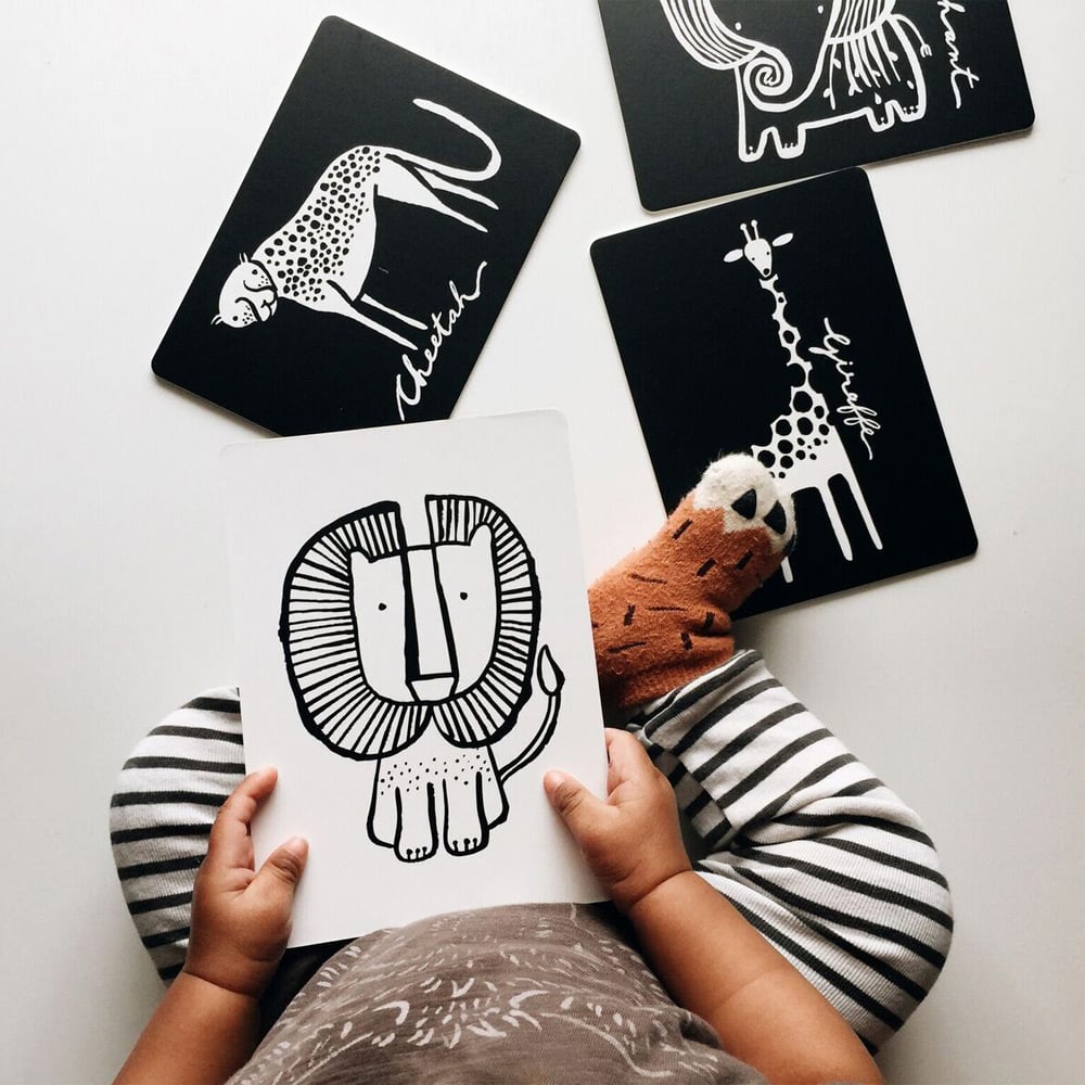 Art Cards for Baby - Jungle Collection - Osadia Concept Store