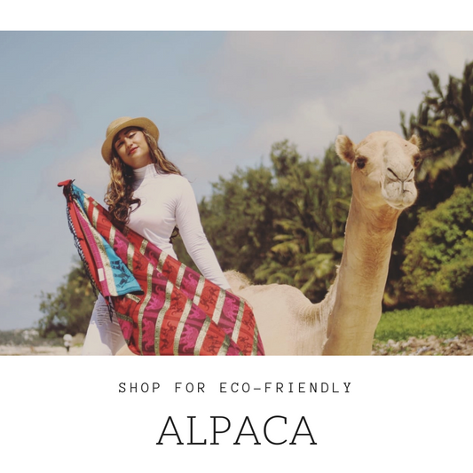 3 REASONS WHY ALPACA IS THE ULTIMATE SUSTAINABLE LUXURY WOOL