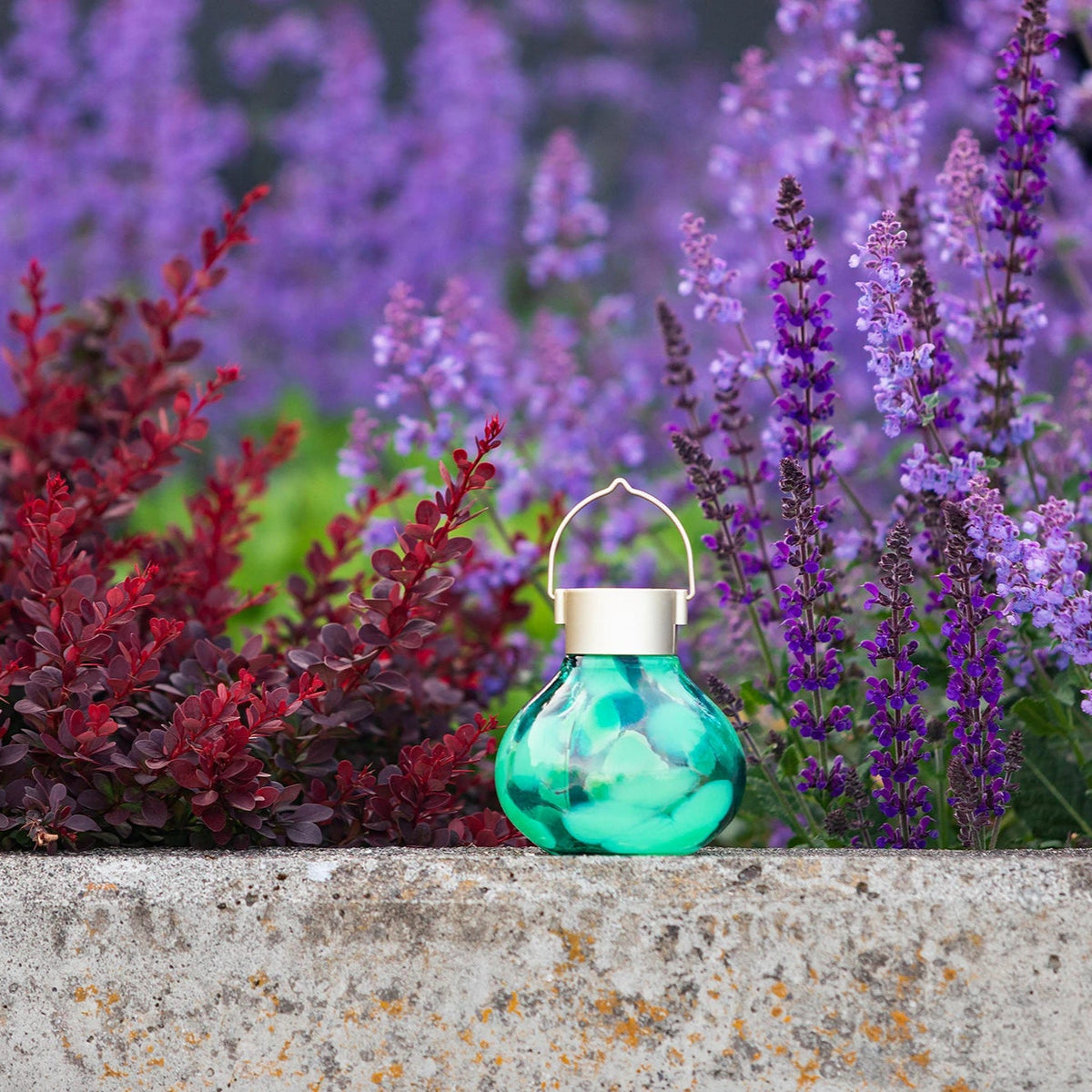 Solar Tea Lantern Multi-Colored 3-pack (Save $10)