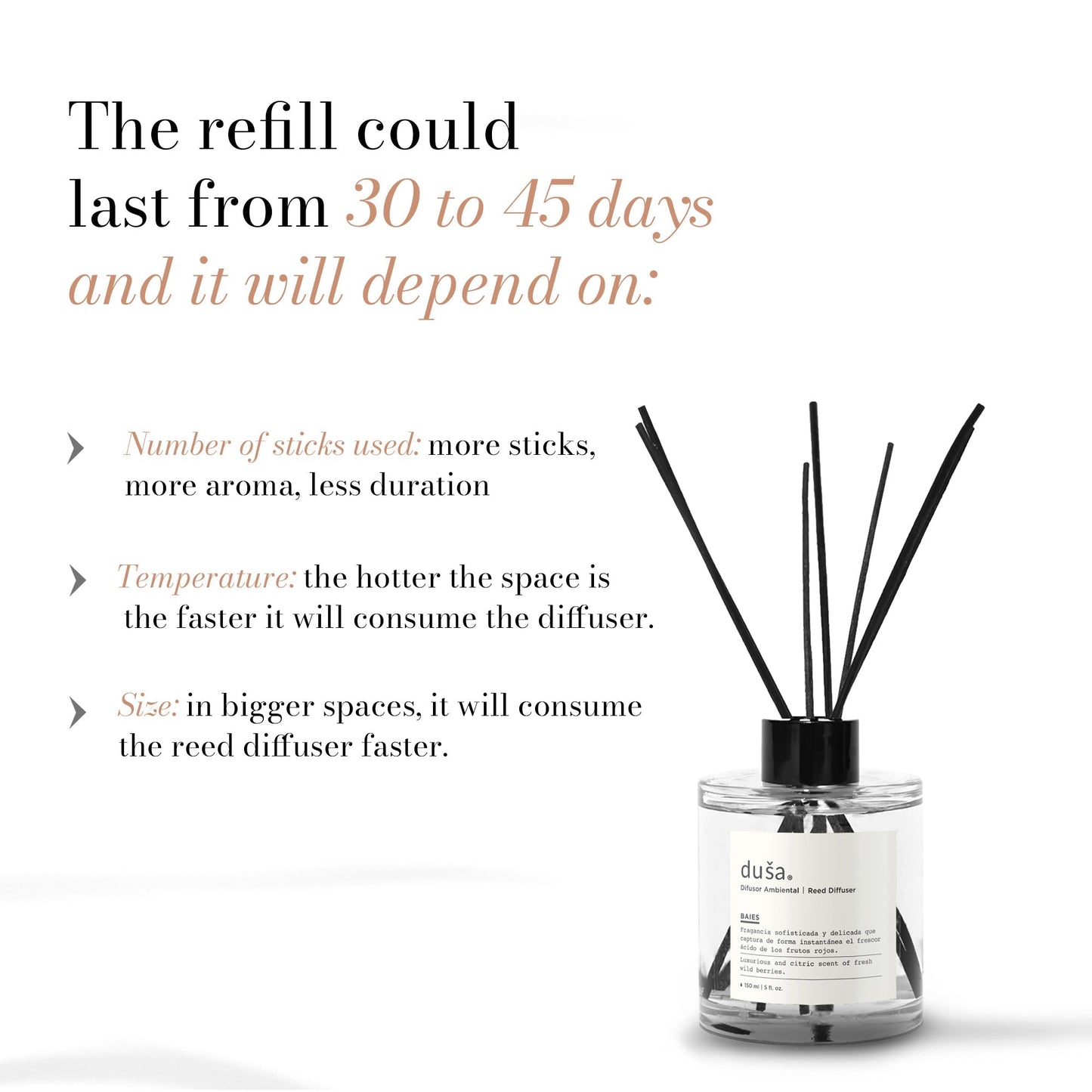 CEDAR BERGAMOTE - 5 FL OZ REED DIFFUSER