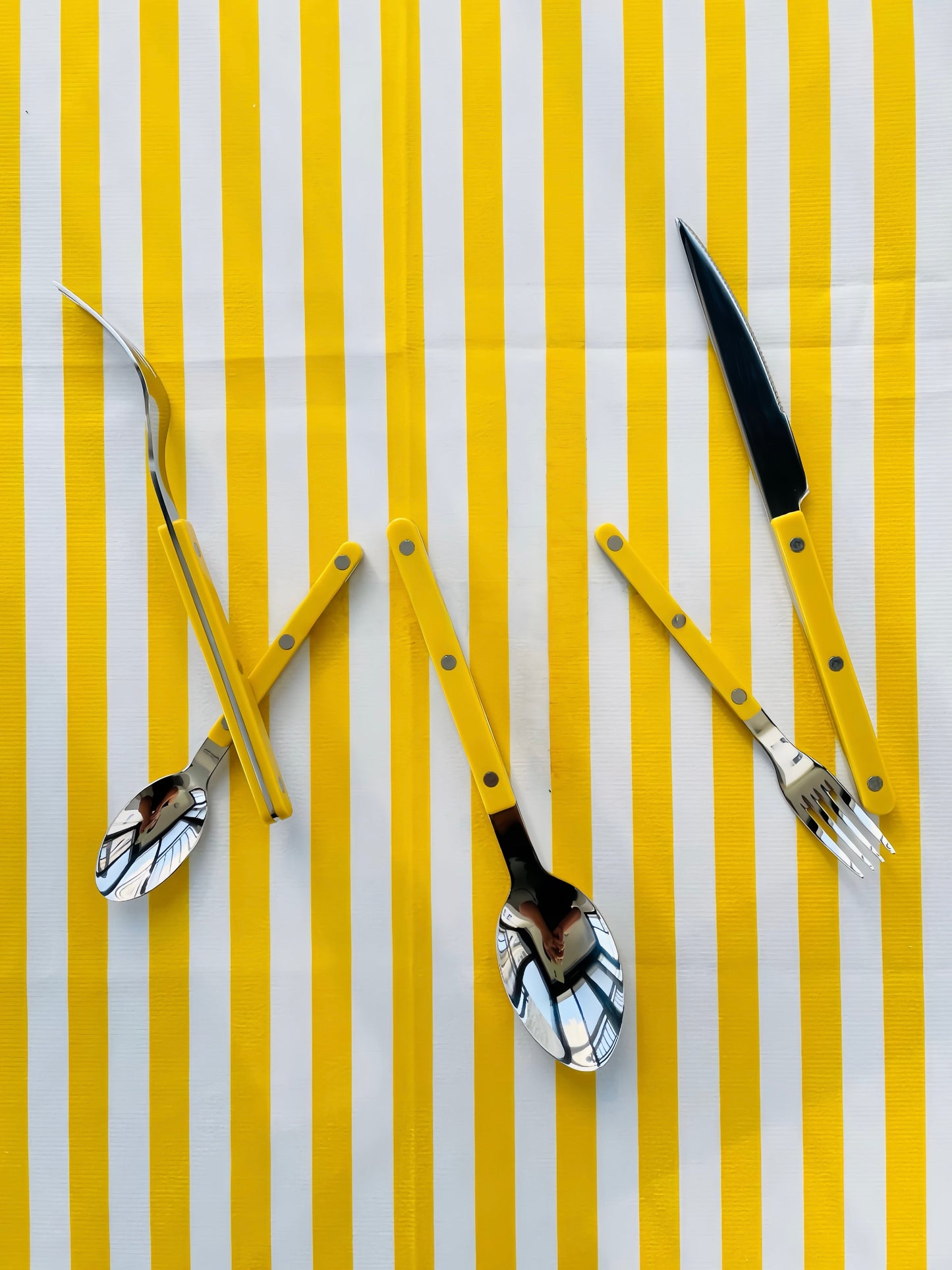 S/10 Dopamine Stainless Steel Rivet Flatware, Contemporary Bistrot Style Cutlery