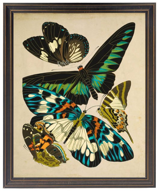 Vintage bright multi butterfly print on a distressed background in a copper and black shaped frame sized 18x24