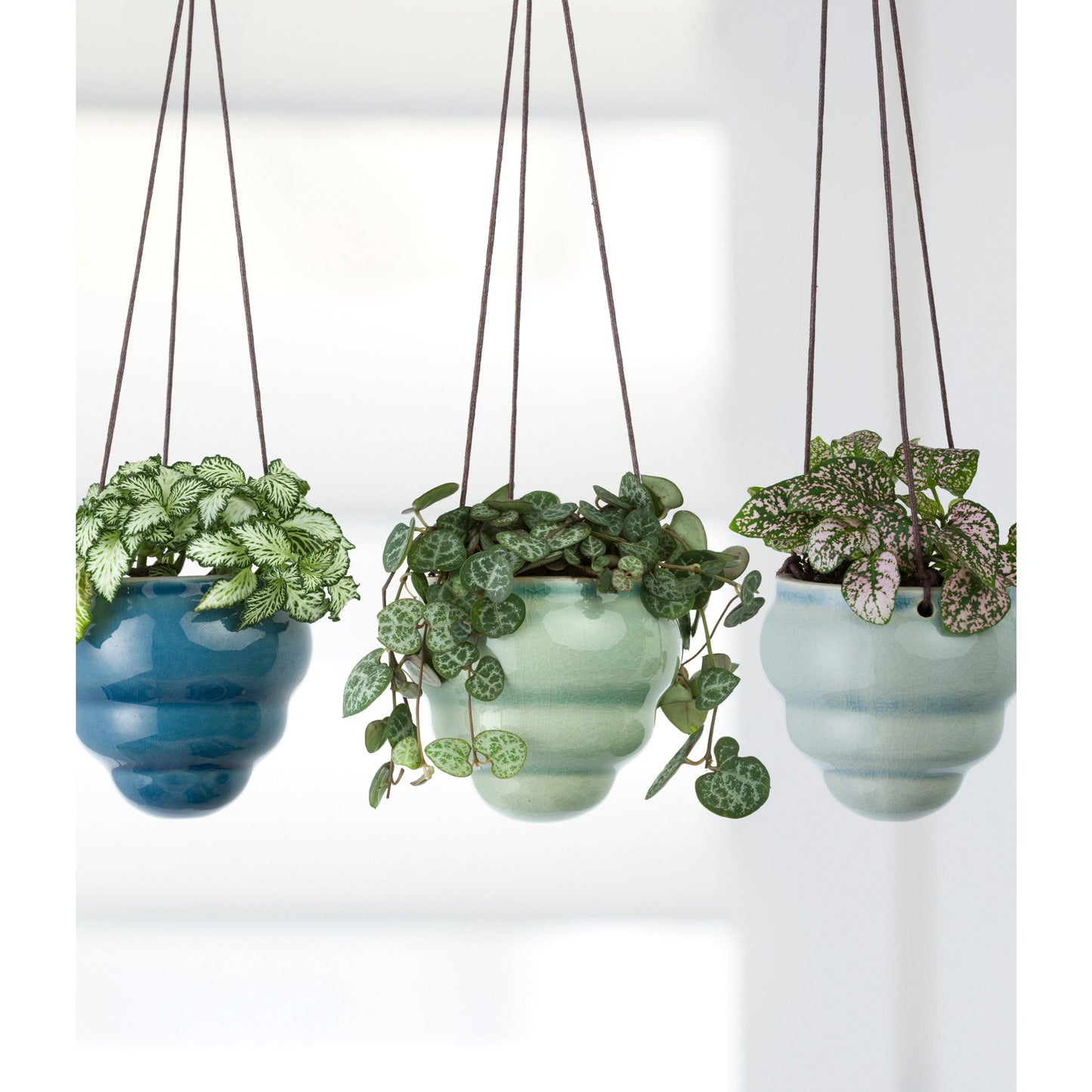 Burgon & Ball® Hanging Baby Bombini Trio Vases