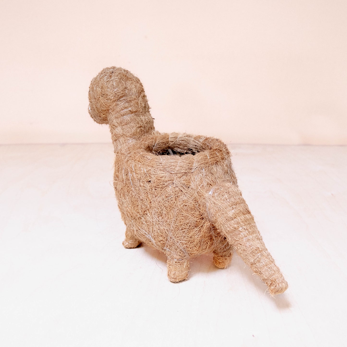 Baby Brontosaurus Planter - Handmade Pots | LIKHÂ