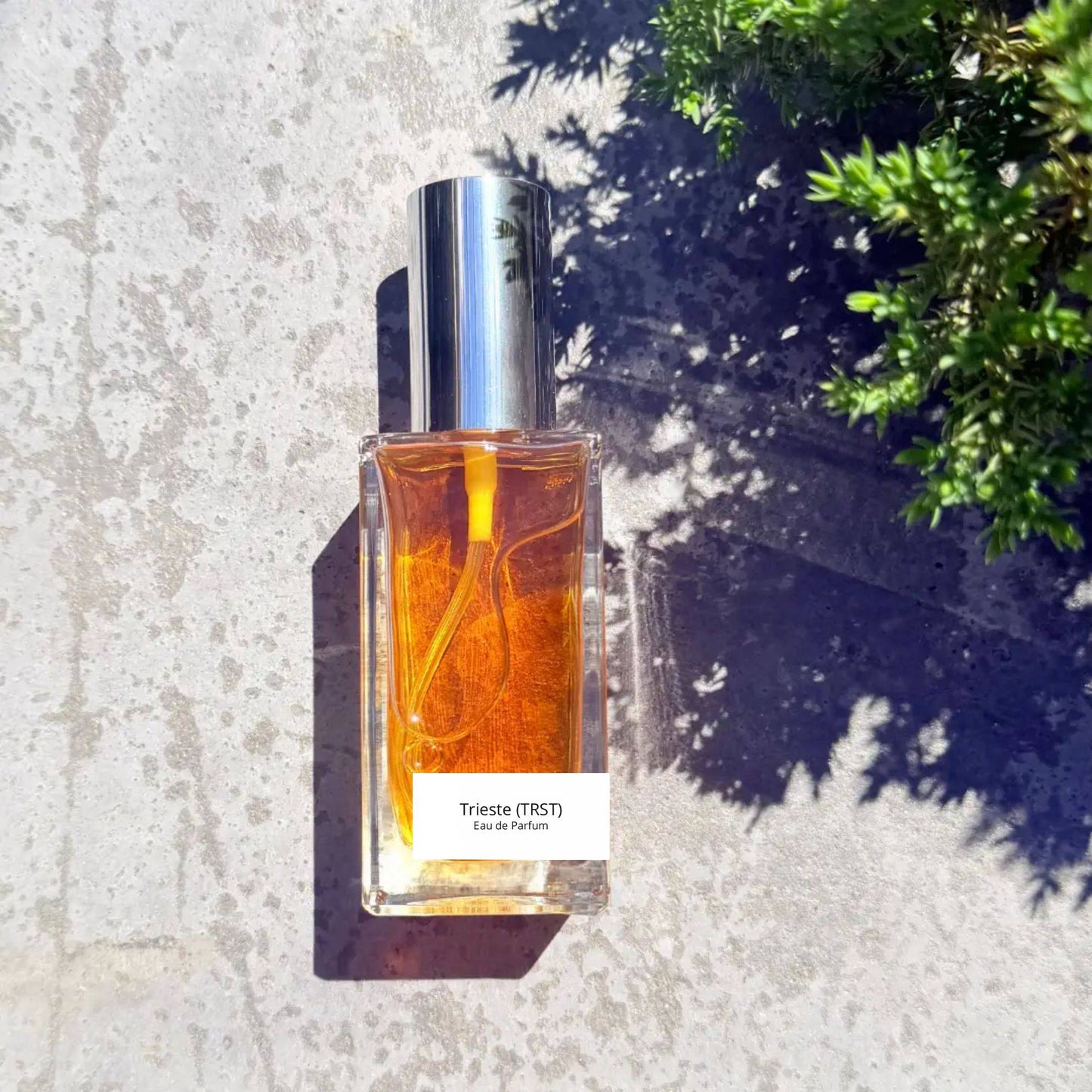 Trieste (TRST) - Eau de Parfum