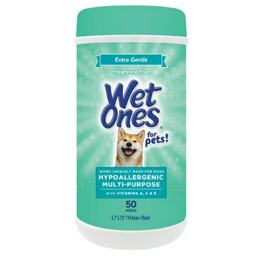 Wet Ones Wipes Xtra Gntl Hypoa