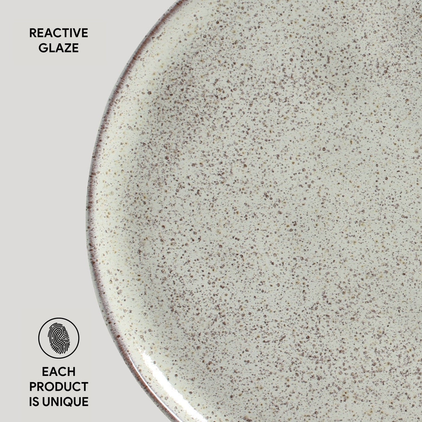 Dinner Plate Set of 4