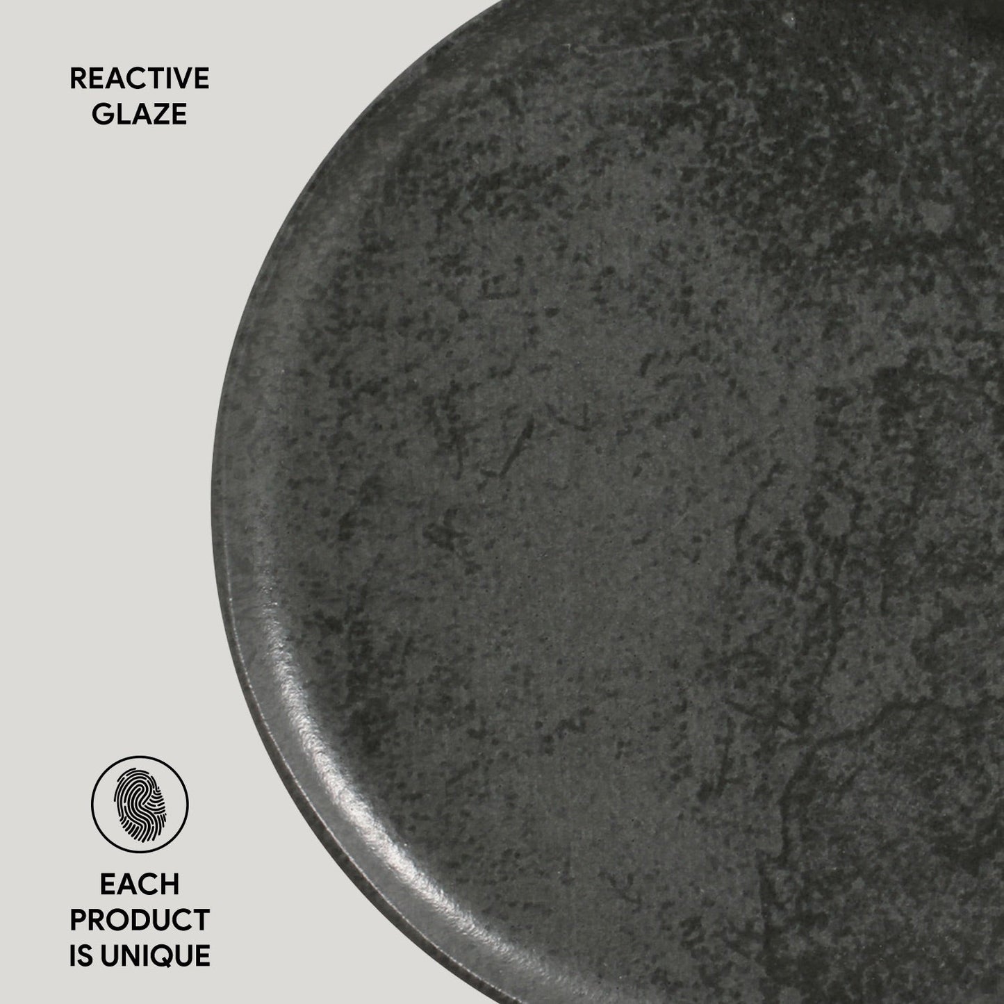 Dinner Plate Set of 4