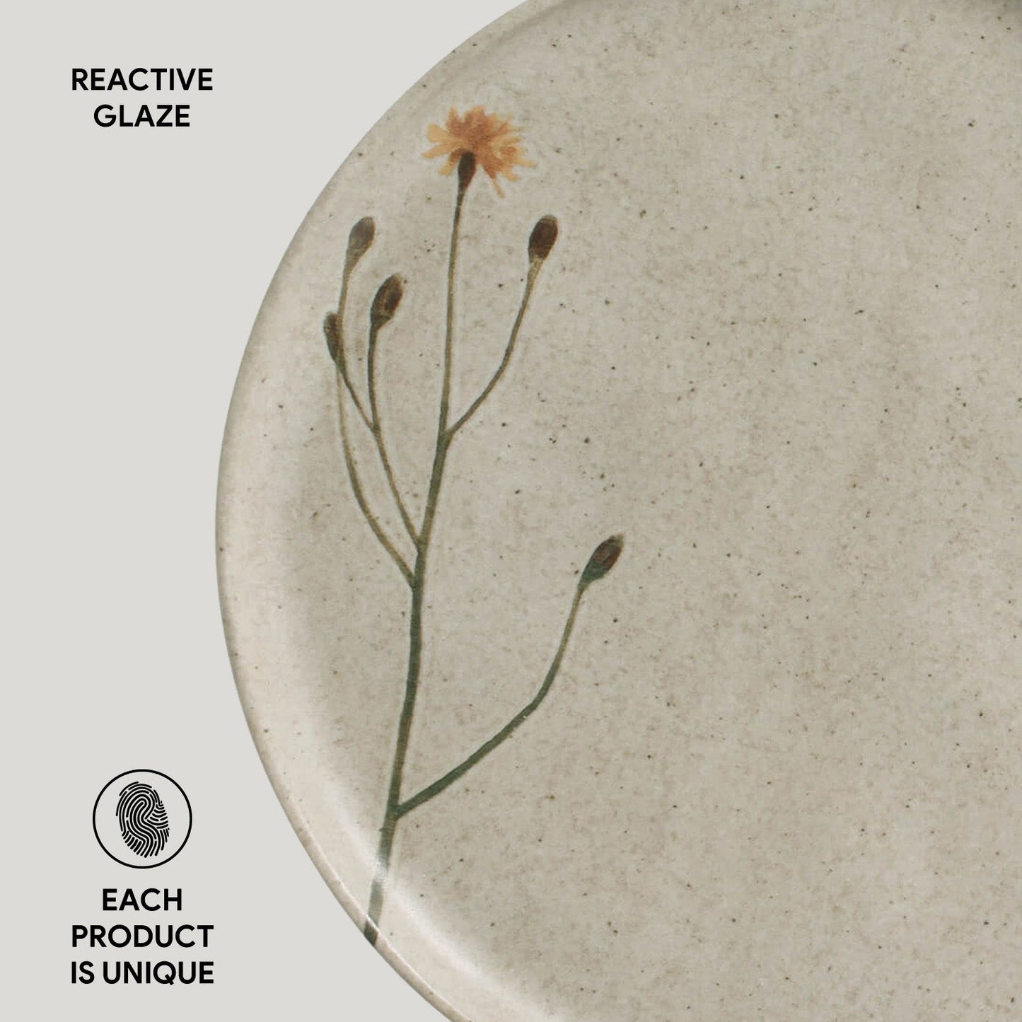 Dinner Plate Set of 4